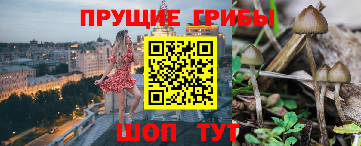 Галлюциногенные грибы ЛСД  даркнет сайт  Вход с VPN  Ярославль  Галлюциногенные грибы Psilocybe 