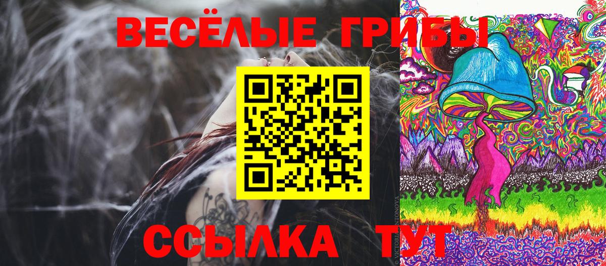 Галлюциногенные грибы прущие грибы Ярославль